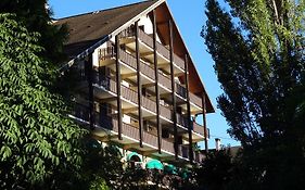 Hotel Restaurant Les Barnieres
